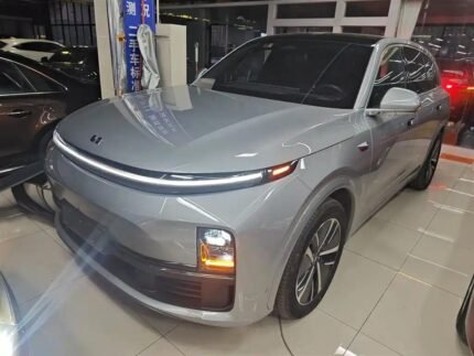 7 Li Spacious Luxury: Kia Chinese Company Partnerships