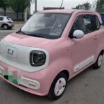 A Miniature Horse 2025 China Cars Review