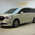 Adapted Buick GL8 Mexico from Top 10 Chinese EV Companies