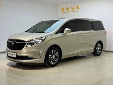Adapted Buick GL8 Mexico from Top 10 Chinese EV Companies
