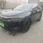 Adventurous Honda Breeze ATV 2020 as New Chinese EV Pioneer