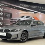 Affordable 2023 Used BMW 3 Series 2L Petrol from China