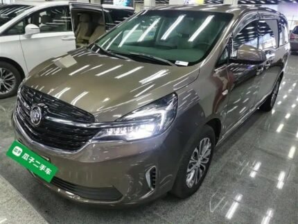 Affordable Buick GL8 Harga: Chinese Used Vehicles for Sale