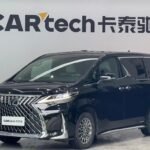 Affordable Lexus LM 2021 from China