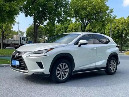 Affordable Lexus NX 2018 - China