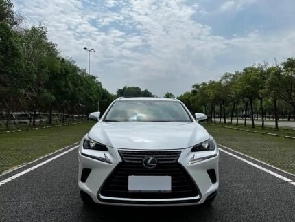 Affordable Lexus NX 2019 4WD SUV