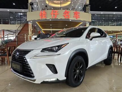 Affordable Lexus NX 2019 - China