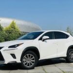Affordable Lexus NX 2020 - China