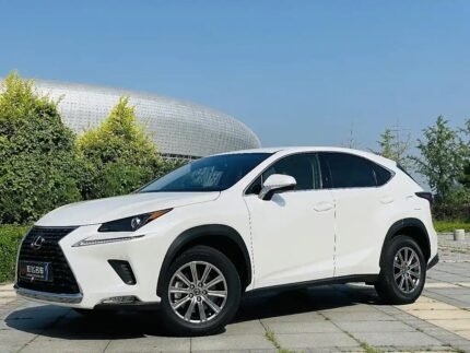 Affordable Lexus NX 2020 - China