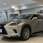 Affordable Lexus NX 2021 4WD SUV