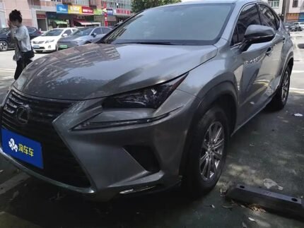 Affordable Lexus NX 2021 - China
