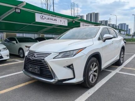 Affordable Lexus RX 2017 - China
