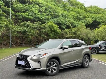 Affordable Lexus RX 2018 - China