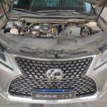 Affordable Lexus RX 2019: China