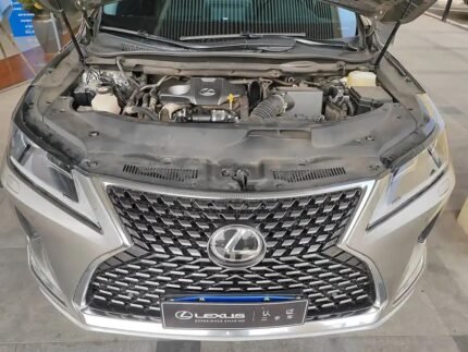 Affordable Lexus RX 2019: China