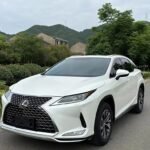 Affordable Lexus RX 2020: China