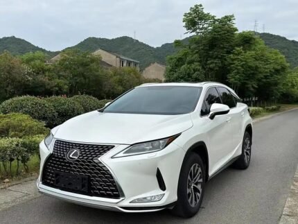Affordable Lexus RX 2020: China
