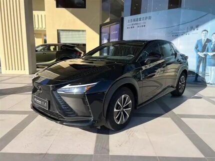 Affordable Lexus RZ Electric: China