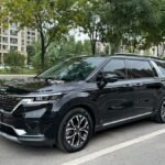 Affordable Used Kia Carnival 2021 2L Petrol for Sale China