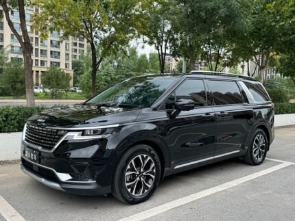 Affordable Used Kia Carnival 2021 2L Petrol for Sale China