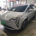 Aion Y Price in Sri Lanka 2024 Chinese EV Companies