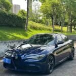 Alfa Romeo Giulia Price Which Car Brand is Most Used in China