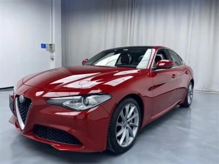 Alfa Romeo Giulia What is the Most Used Car Brand in China