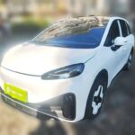 ARCFOX KoalaS 2024: Top 3 Chinese EV Companies