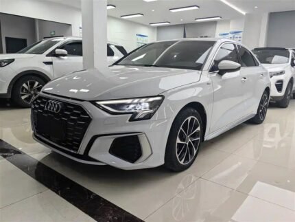 Audi A3 Downpipe 2021: Used Car China App Sourced