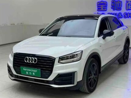 Audi Q2L e-tron 2021: Used Car Parts for Sale in China