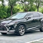 AWD Lexus RX 350 Grip: New Chinese EV Car Alternatives