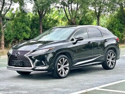 AWD Lexus RX 350 Grip: New Chinese EV Car Alternatives