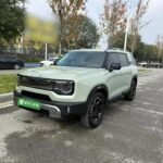 Beijing Off-Road BJ30 2024 Biggest Chinese EV Companies