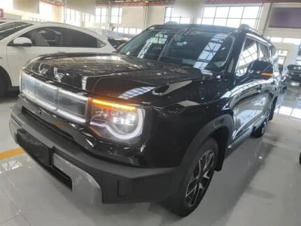 Beijing Off Road BJ30 2025 Innovative Chinese Car EV
