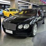 Bentley Flying Spur Mansory: Chinese EV Car Companies