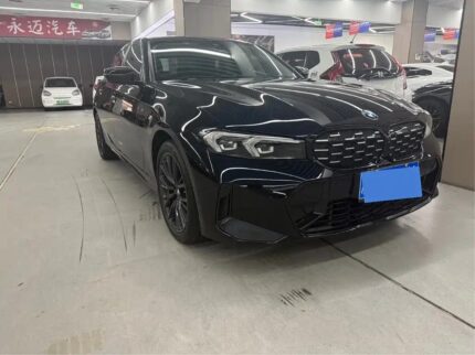 BMW 3 Series Dynamic: Chinese Used Car Import Favorite