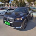 BMW X1 Accessories: How Many Vehicles in China Insights