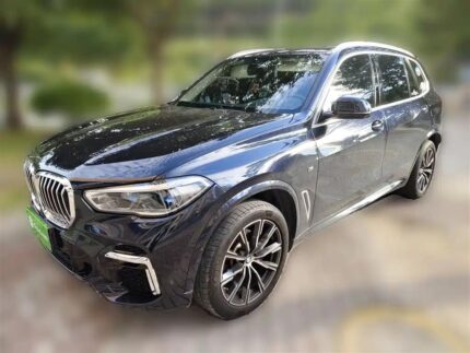 BMW X5 7 Seater Family: Buy Used Car from China