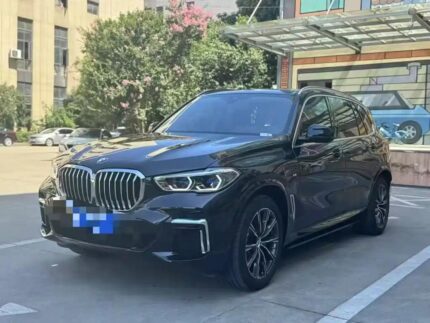 BMW X5 V8: Iconic China Car Symbols