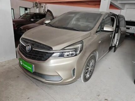 Buick GL-8 2022 Among Chinese SUV Cars Used Export Adventure