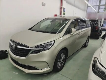 Buick GL8(6 Seats) Used Car China Website - Comfort 2021