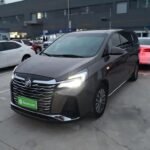 Buick GL8 653T Features: Is There a Used Car Market in China