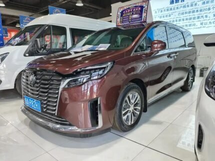 Buick GL8 7 Seater - China Old Man Car Comfort Choice