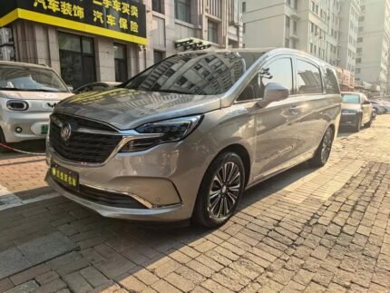 Buick GL8 7 Seater - China Second Hand Car Dealers Offers