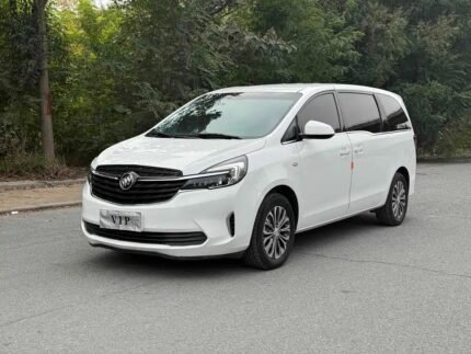 Buick GL8 Avenir Concept Biggest Chinese EV Companies - Luxe 2021
