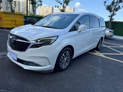 Buick GL8 Avenir Interior 2021 Venucia Car Price Export Comparison