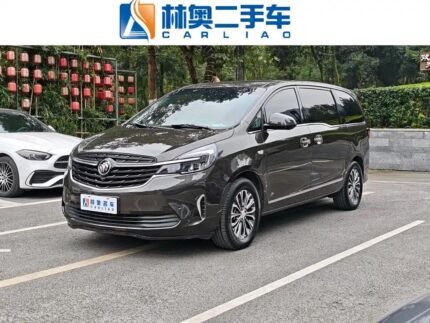 Buick GL8 Avenir Interior - China Second Hand Car Market