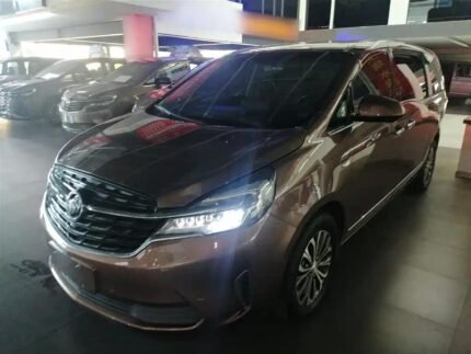 Buick GL8 Black 2021: From Kia Chinese Company Exports
