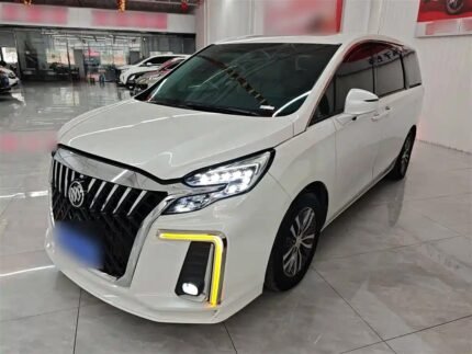 Buick GL8 Canada 2022 Chinese Used Car Export for Importers