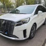 Buick GL8 Canada 2023 Used Vehicles from China Import Quality